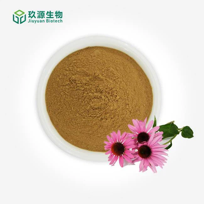 Echinacea Purpurea Extract Powder